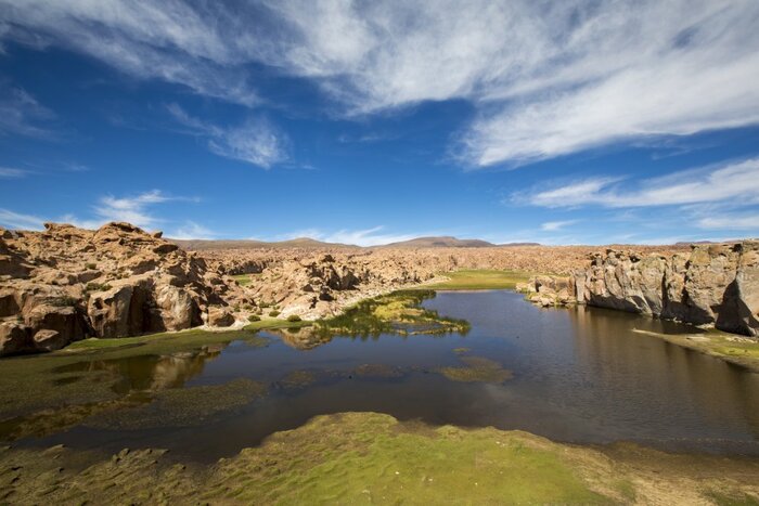 Laguna Negra in Bolivien