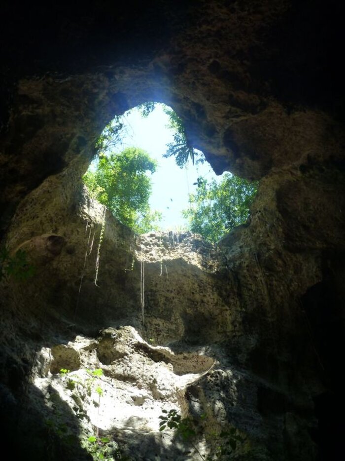 Blick aus einer Höhle