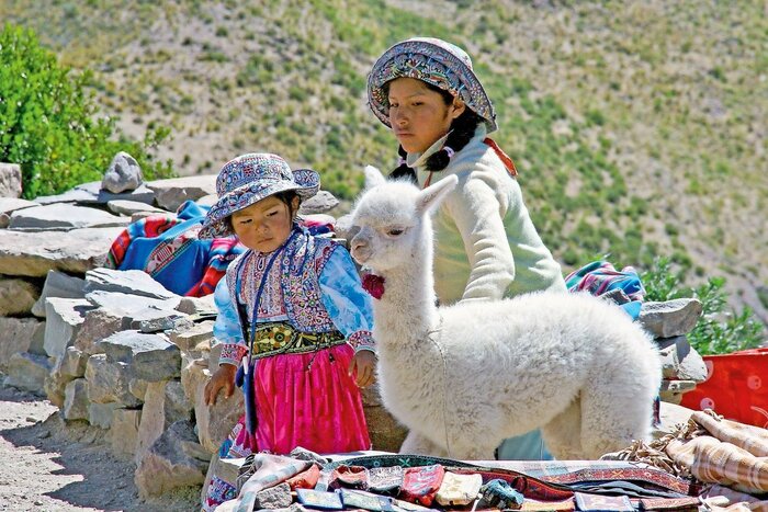 Peruanische Mutter mit Kind und Alpakababy
